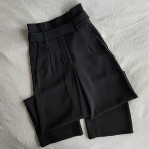 Aritzia Babaton high waisted trousers